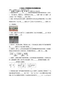 沪教版(上海)八年级第一学期数学期末试卷 (5)