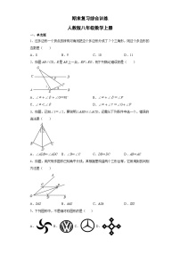 人教版八年级数学上册期末试卷 (1)