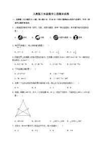 人教版八年级数学上册期末试卷 (2)