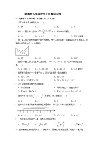 湘教版八年级上册数学期末试卷 (3)