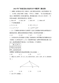 2023年广东省茂名市高州市中考数学二模试卷（含解析）