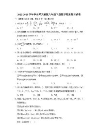 2022-2023学年华东师大新版八年级下册数学期末复习试卷2(含解析)