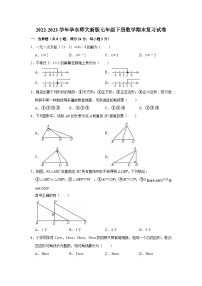 2022-2023学年华东师大新版七年级下册数学期末复习试卷（含解析）