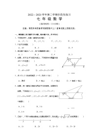 福建省龙岩市漳平市2022-2023学年七年级下学期期中阶段性练习数学试卷(含答案)