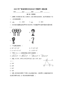 2023年广东省深圳市宝安区中考数学三模试卷（含解析）