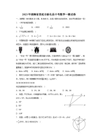 2023年湖南省娄底市新化县中考数学一模试卷（含解析）