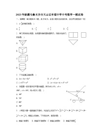2023年新疆乌鲁木齐市天山区幸福中学中考数学一模试卷（含解析）