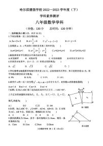 黑龙江省哈尔滨市香坊区德强学校初中部2022-2023学年下学期八年级期中学科素养测评数学(五四制)试卷