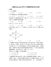 人教版八年级下学期数学期末复习试卷（无答案）