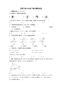 北师大版七年级数学下期末模拟训练试卷（无答案）