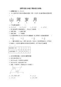 北师大版七年级数学下期末复习训练试题 （无答案）