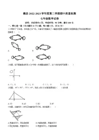 河北省邯郸市魏县2022-2023学年七年级下学期期中质量检测数学试题(含答案)