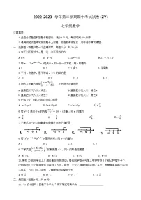 河南省周口市沈丘县2022-2023学年七年级下学期期中+数学试题(含答案)