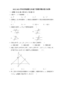 2022-2023学年苏科新版七年级下册数学期末复习试卷(含解析)