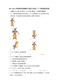 2021-2022学年陕西省安康市石泉县七年级（下）期末数学试卷