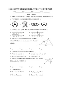 安徽省宿州市泗县2022-2023学年八年级下学期期中考试数学试卷(含解析)