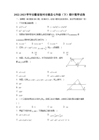 安徽省宿州市泗县2022-2023学年七年级下学期期中考试数学试卷(含解析)