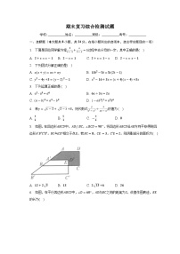 2022-2023学年北师大版八年级数学下册期末复习综合检测试题