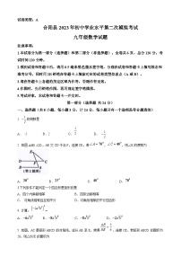 2023年陕西省渭南市合阳县中考二模数学试题