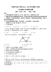 广东省深圳市罗湖外国语学校2022-2023学年七年级下学期期中数学试题(无答案)