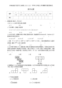 河南省驻马店市上蔡县2020-2021学年七年级上学期期末素质测试数学试题