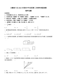 2023年安徽省六安市中考三模数学试题