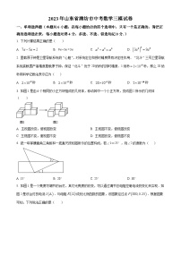 2023年山东省潍坊市中考三模数学试题（原卷版）