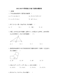 2022-2023学年苏科版七年级下册期末模拟数学试卷