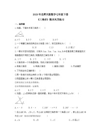 2023年北师大版数学七年级下册《三角形》期末巩固练习（含答案）