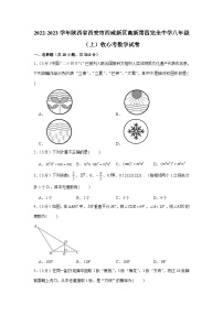 2022-2023学年陕西省西安市西咸新区高新第四完全中学八年级（上）收心考数学试卷