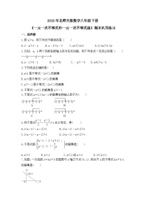 2023年北师大版数学八年级下册《一元一次不等式和一元一次不等式组》期末巩固练习(含答案)