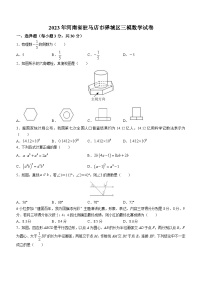 2023年河南省驻马店市驿城区中考三模数学试题（含答案）