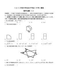 2023年山东省菏泽市单县中考三模数学试题（含答案）