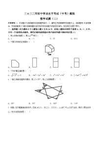 2023年山东省菏泽市单县中考三模数学试题（含答案）