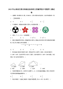 2023年山东省日照市东港区学校+曲阜师范大学附属实验学校中考数学三模试卷（含答案）