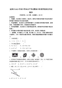 2023年四川省宜宾中考数学试题