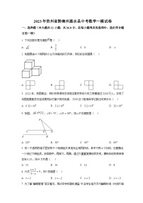 贵州省黔南州惠水县2023届九年级毕业生一模考试数学试卷(含解析)