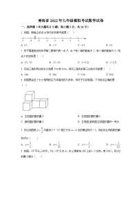 青海省2022届九年级下学期模拟考试数学试卷(含解析)