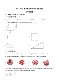 辽宁省辽阳市灯塔市2023届九年级下学期素质评价（一模）数学试卷(含解析)