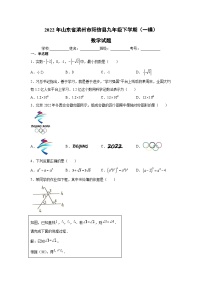 山东省滨州市阳信县2022届九年级下学期适应性训练（一模）数学试卷(含答案)