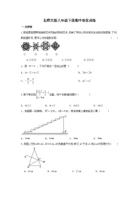 北师大版数学八年级下册期中培优训练（无答案）