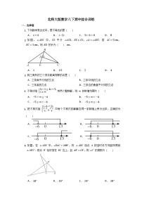 北师大版数学八年级下册期中综合训练（无答案）