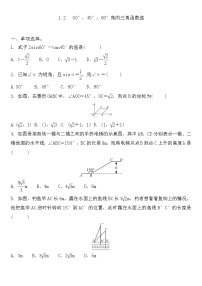 数学九年级下册2 30°、45°、60°角的三角函数值习题