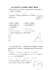 2023年四川省广元市苍溪县中考数学二模试卷（含解析）