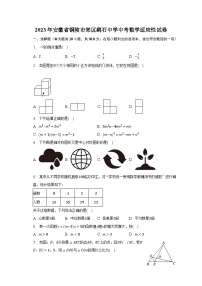 2023年安徽省铜陵市郊区鹞石中学中考数学适应性试卷（含解析）