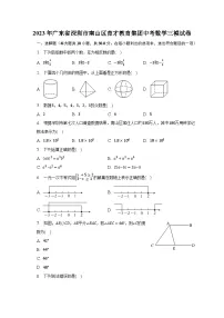 2023年广东省深圳市南山区育才教育集团中考数学三模试卷(含解析)