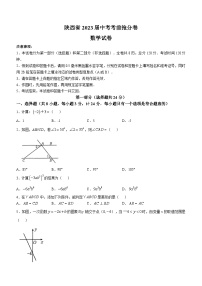 2023年陕西省榆林市子洲县马蹄沟镇张家港希望中学中考模拟数学试题（含答案）