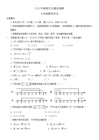河南省南阳市西峡县2022-2023学年七年级下学期期中数学试题