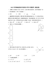 2023年河南省郑州外国语中学中考数学三模试卷