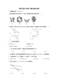 北师大版七年级下册数学期末强化训练（无答案）